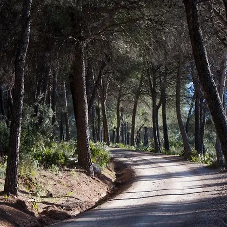 Rural A Afueras De Holiday home *
